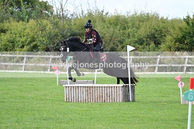 WJ7_8344 - 60cm Pairs