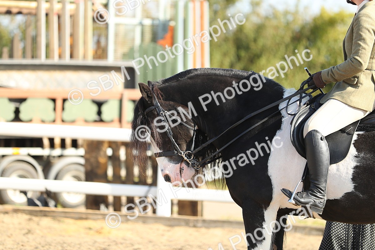 SBM_01167 - Class 42 Ridden Veteran