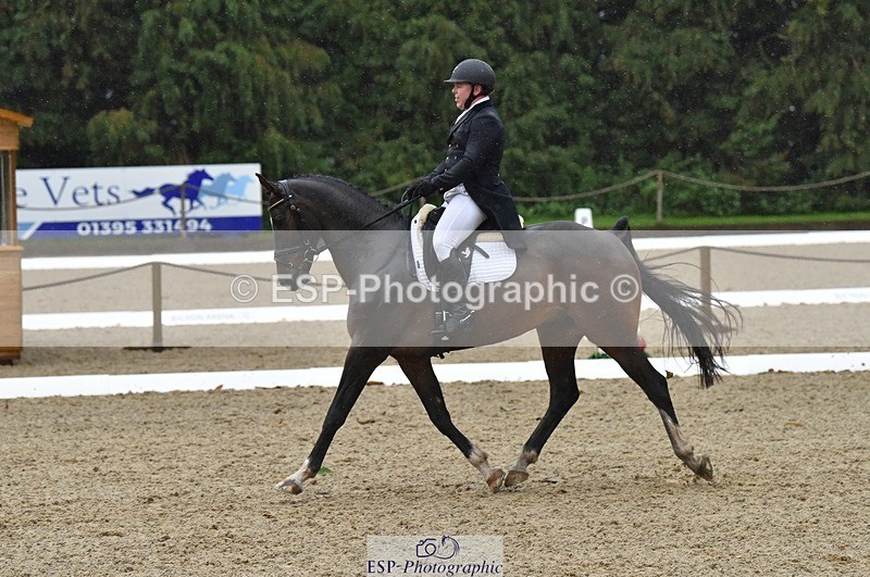 231018-153504-00812 - 011-BIG.QUERLYBET.K.Z-Paul.Whitehead-DR