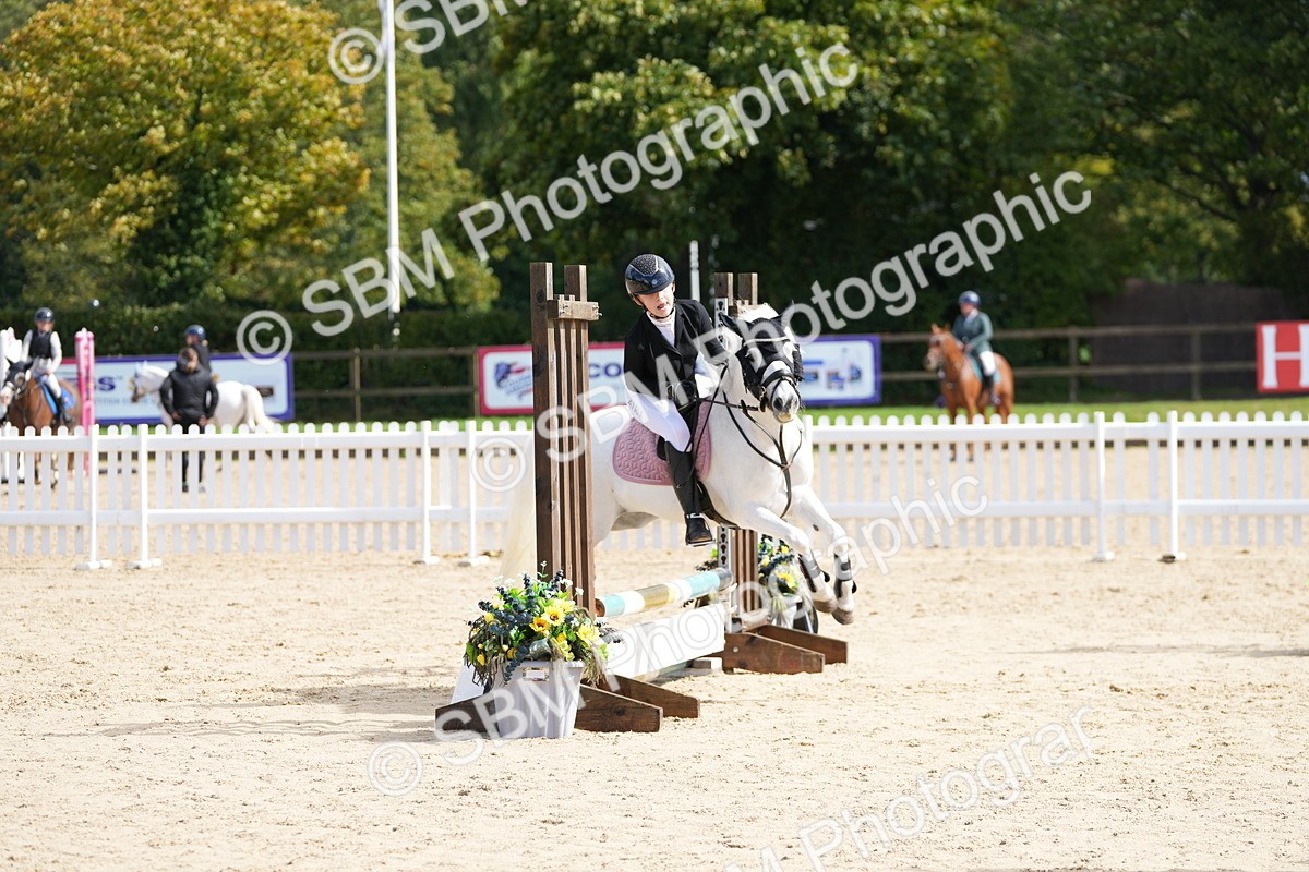 SBM_19768 - J49 - Open 50cm