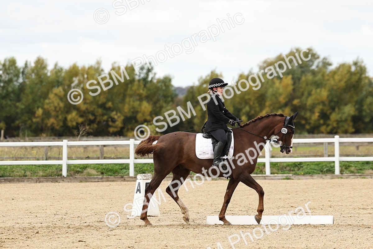 SBM_004545 - Class 69 - Novice 2