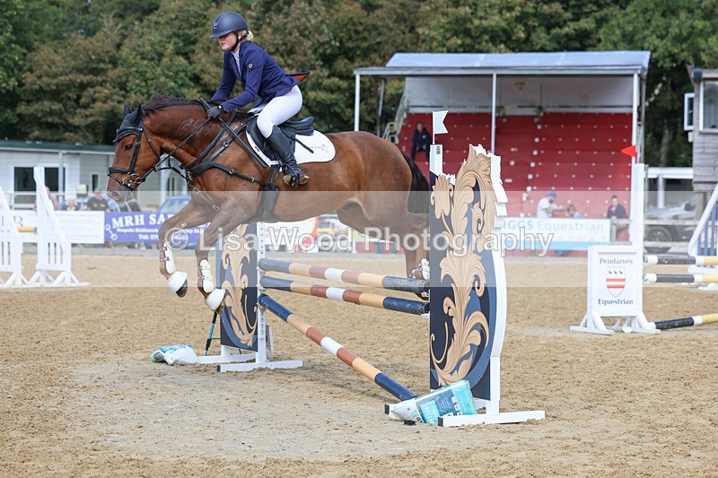 3E7A9335 - Class 9: Senior British Novice/90cm open