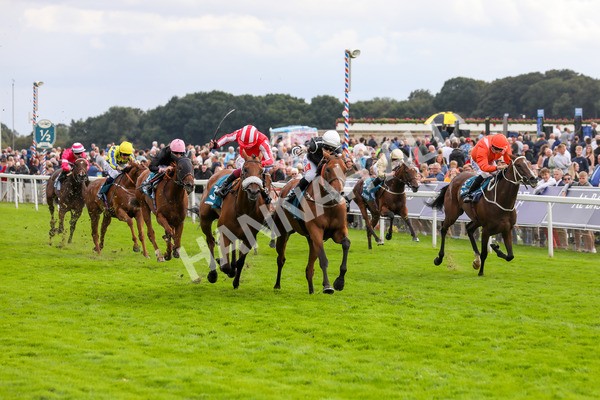250823-Race 5-Reach-5907 - Race 5 4.10pm Assured Data Protection EBF Fillies' Handicap