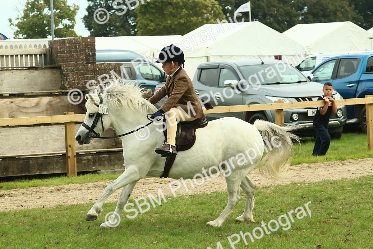 SBM_69933 - S59 - Mountain & Moorland Ridden Small Breeds
