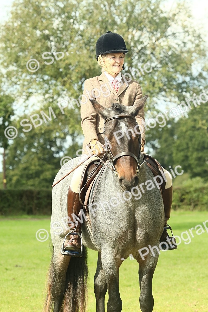 SBM_62672 - S63 - Other Coloured Horse Ridden