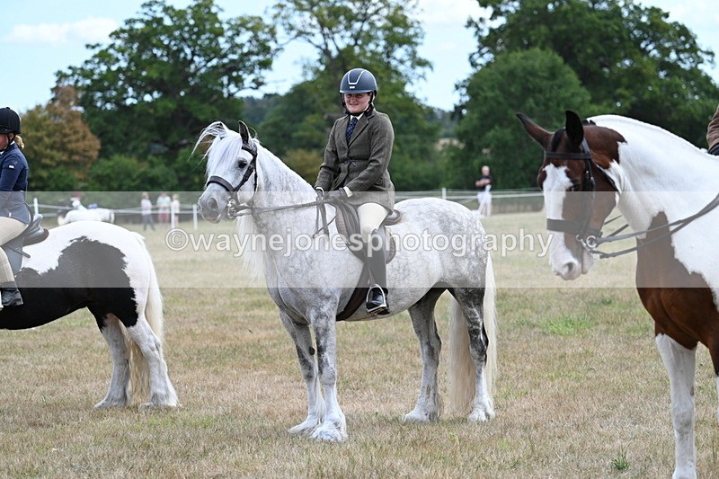 WJ7_5506 - Class 12 Ridden Cob