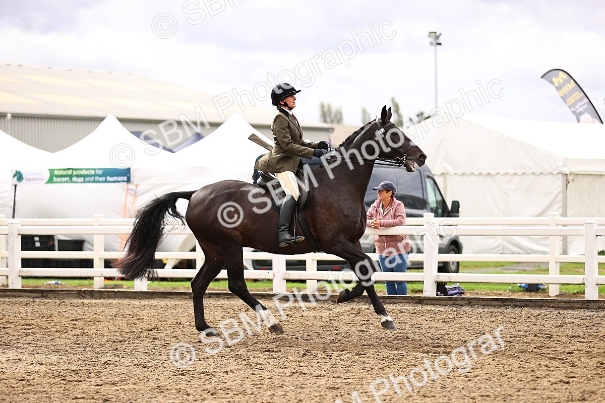 SBM_00559 - Class 53 - Ridden Competition Horse Pony