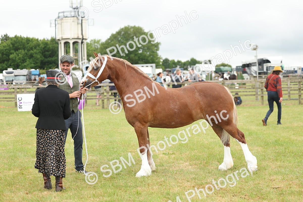 SBM_05023 - Class 50-57 - M&M Welsh Pony In Hand