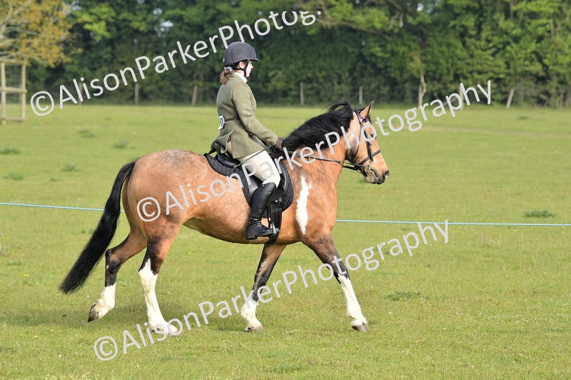 20260426-0874 - Class 18 - Novice Showing