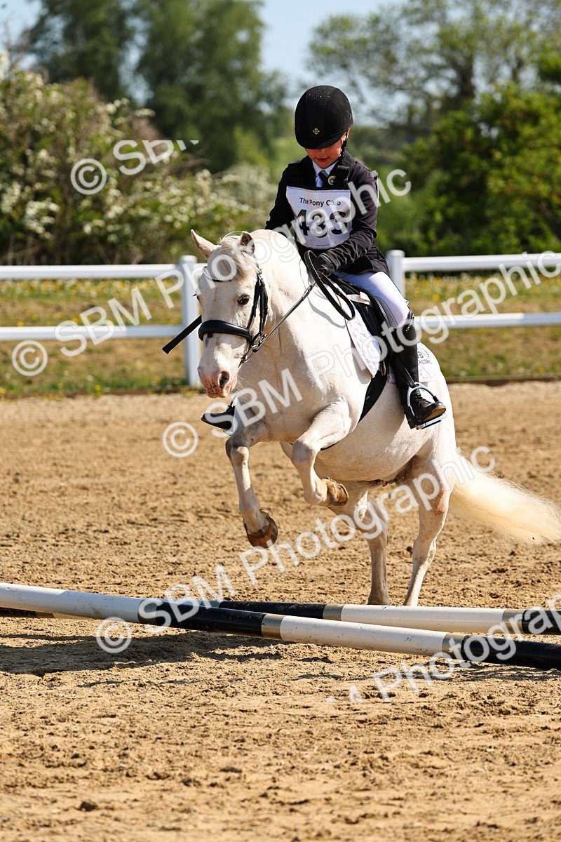 SBM_006699 - Class 2 - 50cm