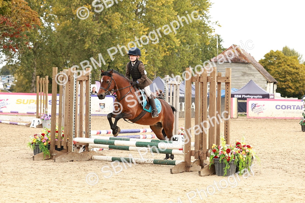 SBM_57728 - J11 - Junior Pony 50cm Championship