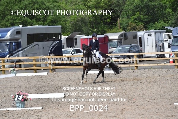 BPP_0024 - SHORT ARENA  MY QUEST PRELIM