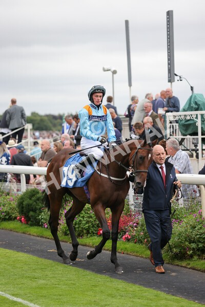 yr18082021r7-2 - Race 7 5.20pm Sky Bet Nursery Handicap