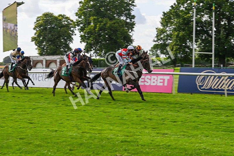 030824-Race 6-Night Breeze-1907 - Race 6