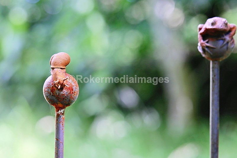  - Elemental Sculpture Park