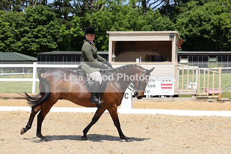 1X9A1833 - Class 12: Ridden Riding Horse/Hack