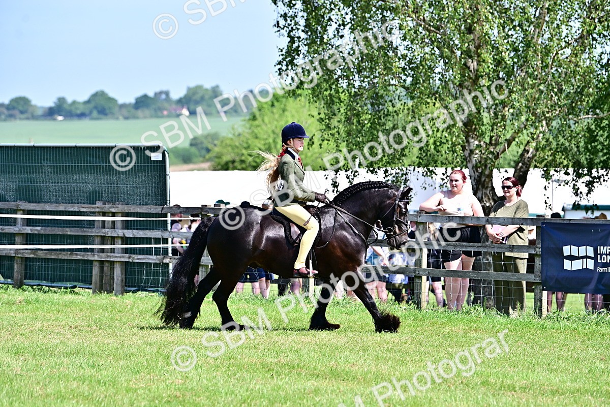 SBM_13879 - Class 95-97 - BSPS LHS Performance Ponies