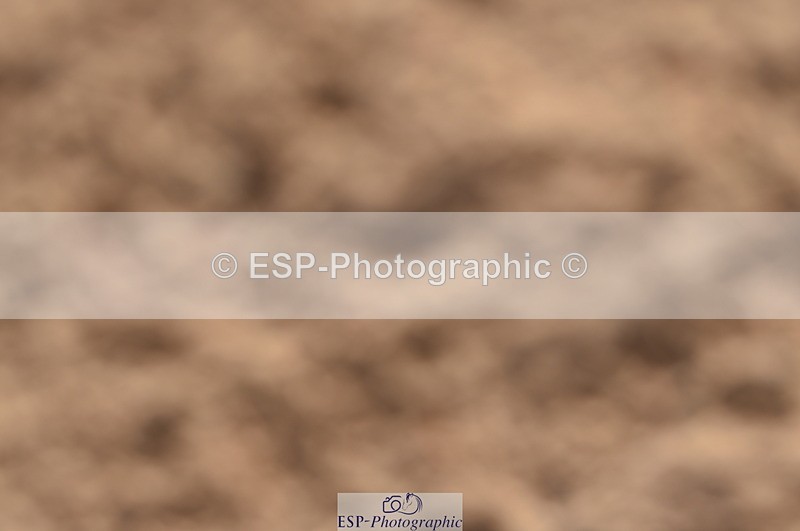 231015A-151132-08891 - Cls 26 1.05m Grand Prix