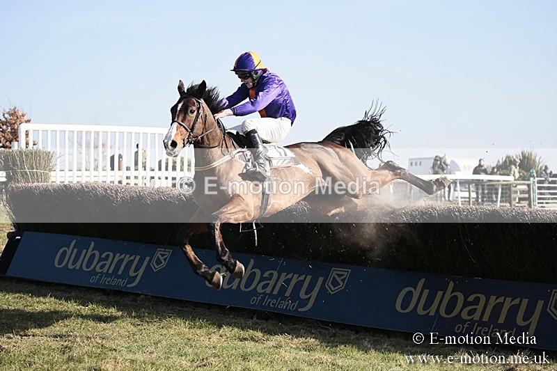 PtP 240218 368 - Vine & Craven Hunt Point-to-Point Barbury racecourse 24/02/18