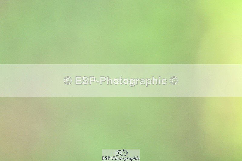 261014-115330-00305 - Cls 04 Senior 1.05m