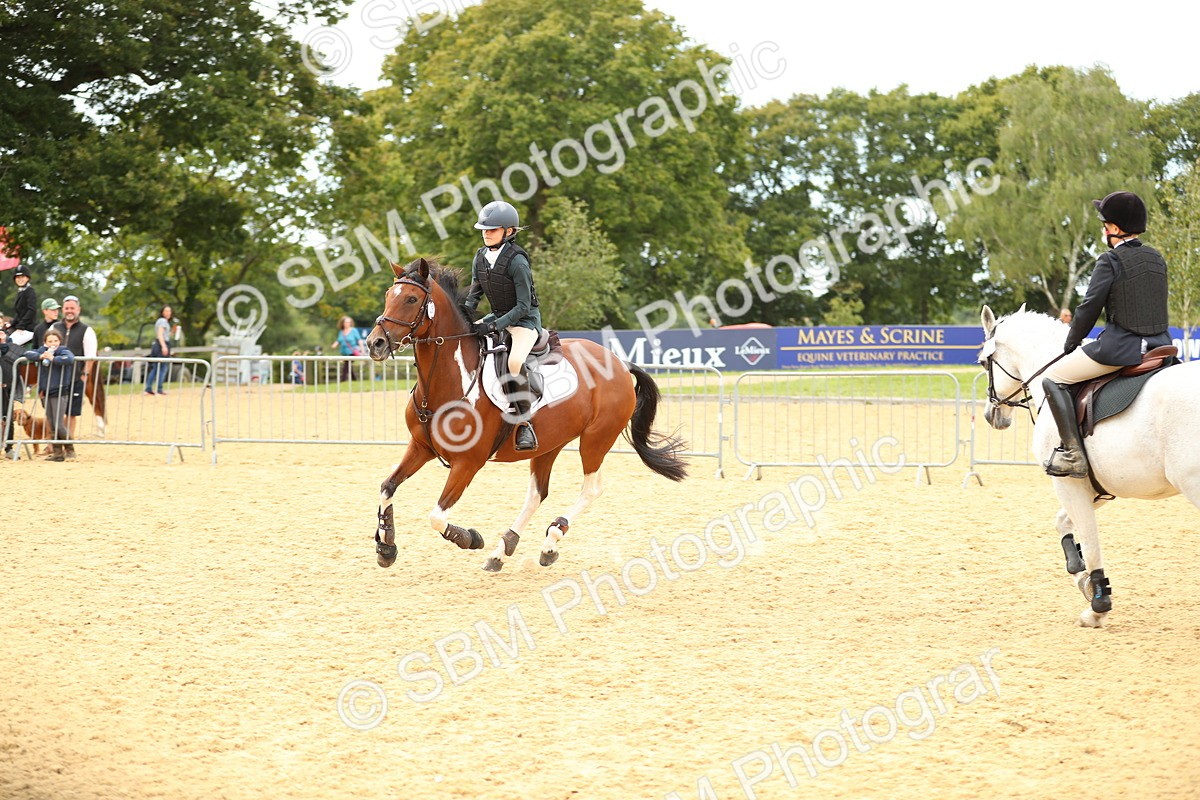 SBM_71375 - J18 - Junior Pony 85cm Championship