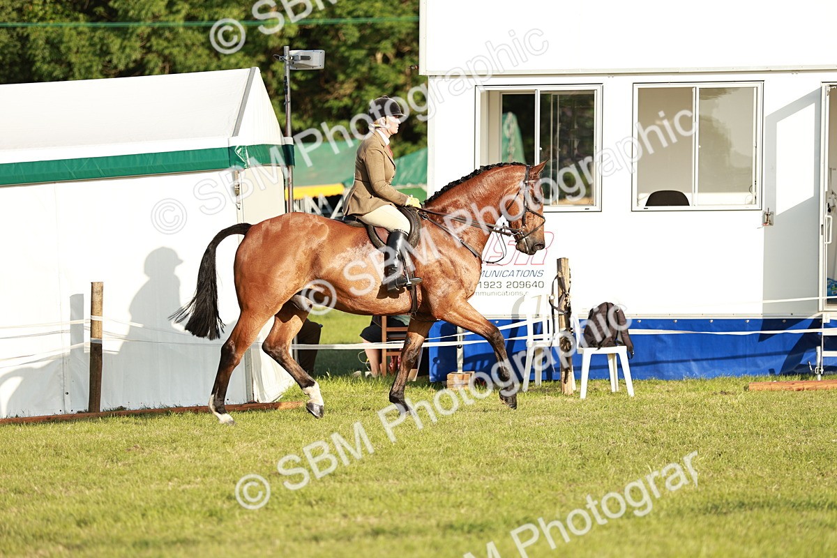SBM_20437 - Class 117-119 - Sport Horse Working Hunter