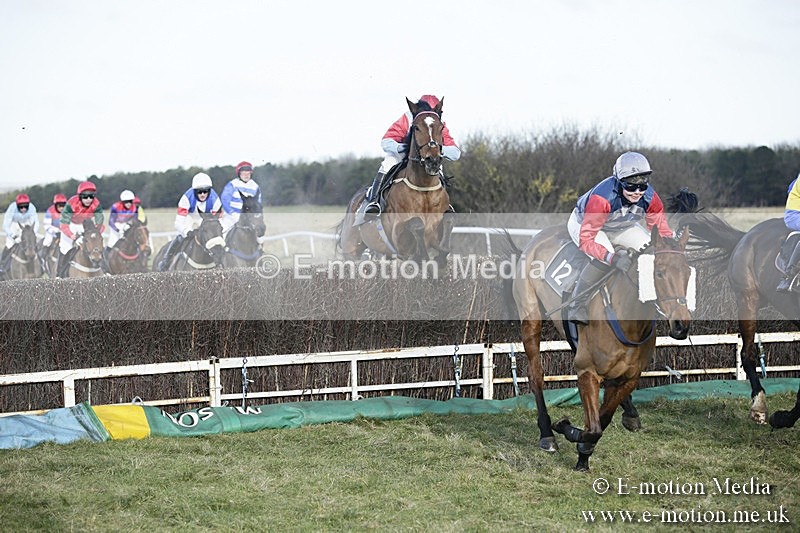 PtP 070118 -164 - Larkhill Racing Club Point to Point Larkhill 07/01/2018
