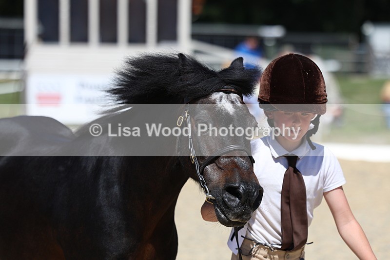 3E7A9597 - Class 32: Best Grass Kept