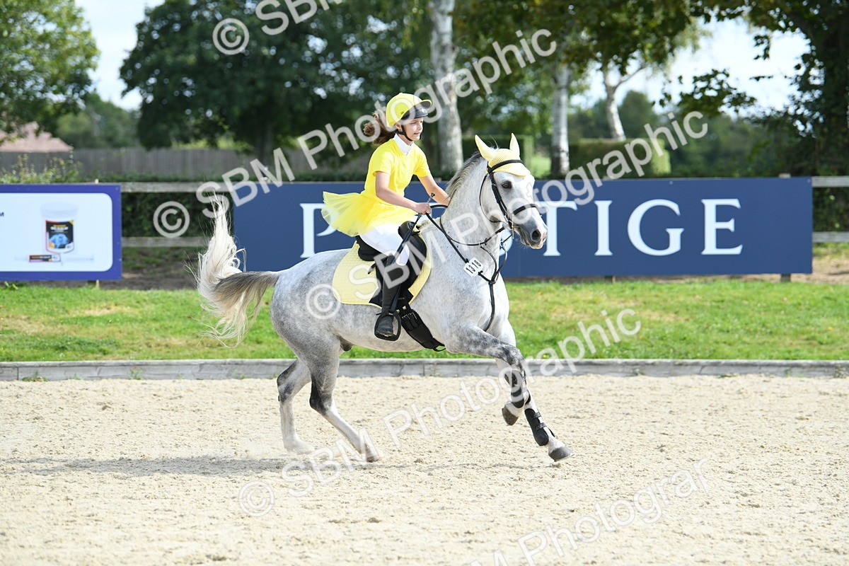 SBM_64782 - J48 - Pairs Jumping Open 70cm & 85cm