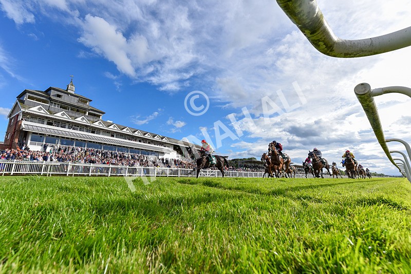 160624-Race 6-Letsbefrank-2-2 - Race 6