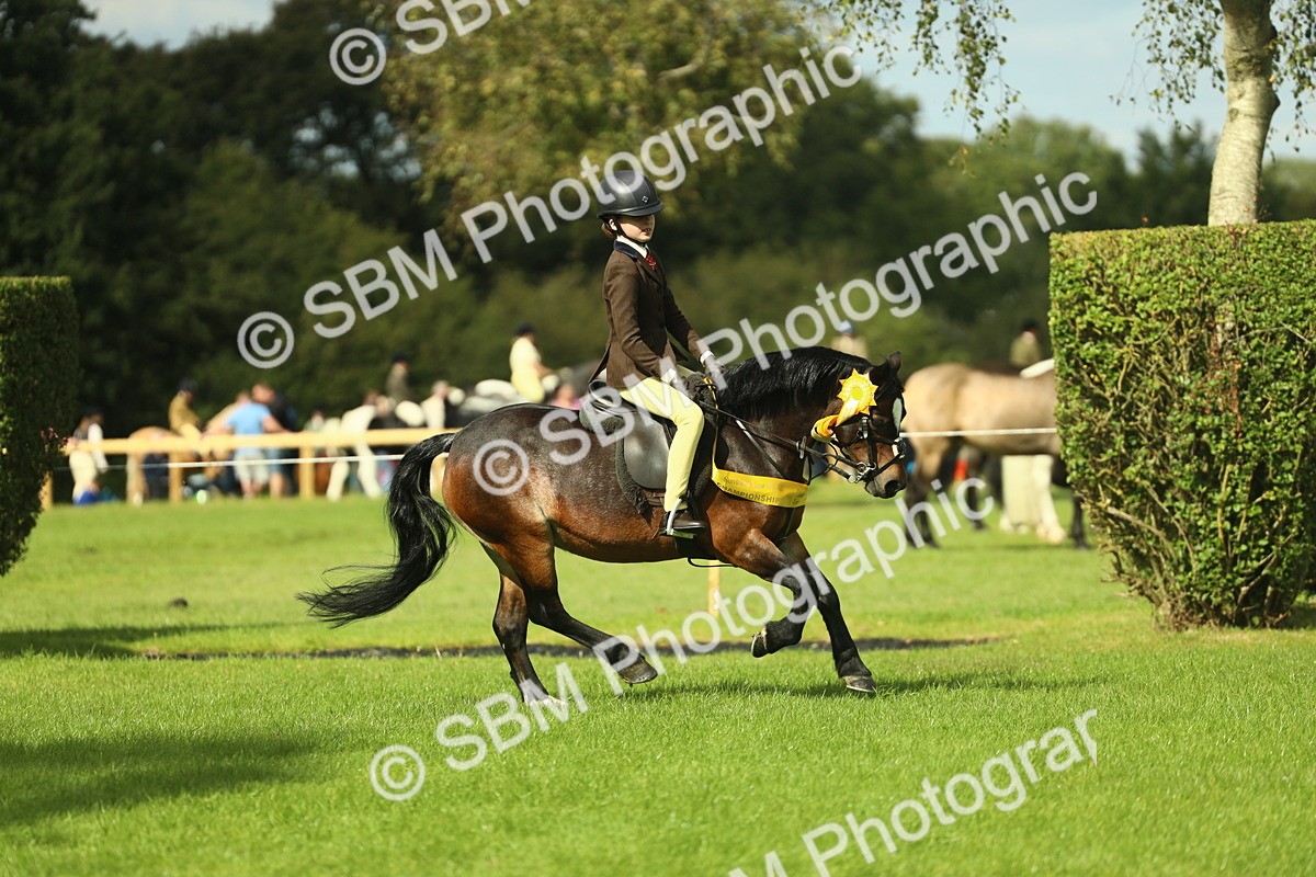 SBM_44931 - Working Hunter Pony Supreme Championship