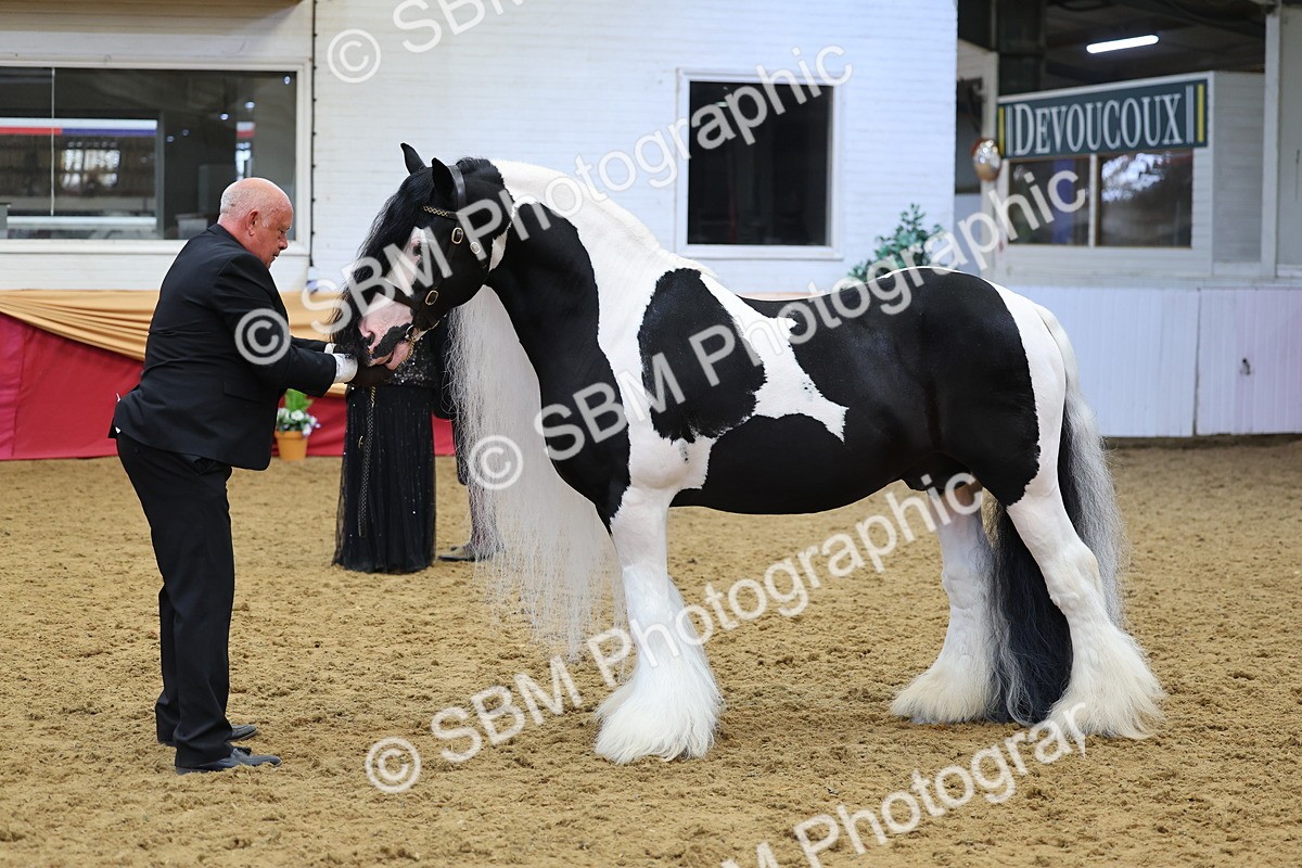 SBM_22726 - Class 903 - Supreme Final - IH Pre Vet