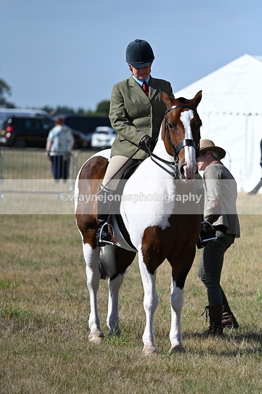 WJ7_2740 - Class 8 Ridden Tack & Turnout
