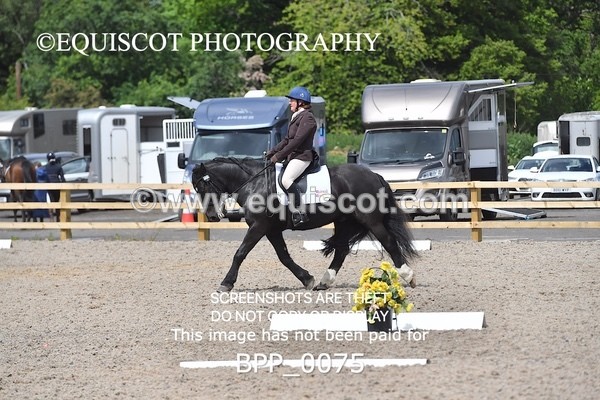 BPP_0075 - SHORT ARENA  MY QUEST PRELIM