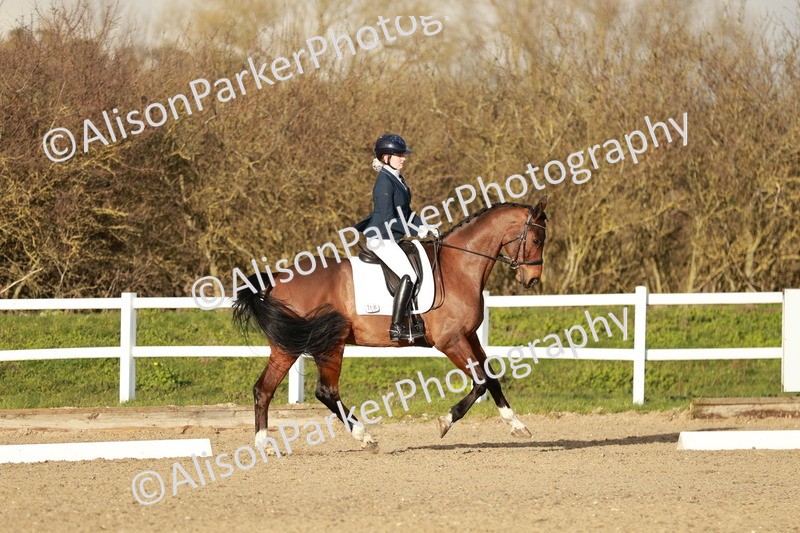 20260314-6304 - CT7 - Elementary 2