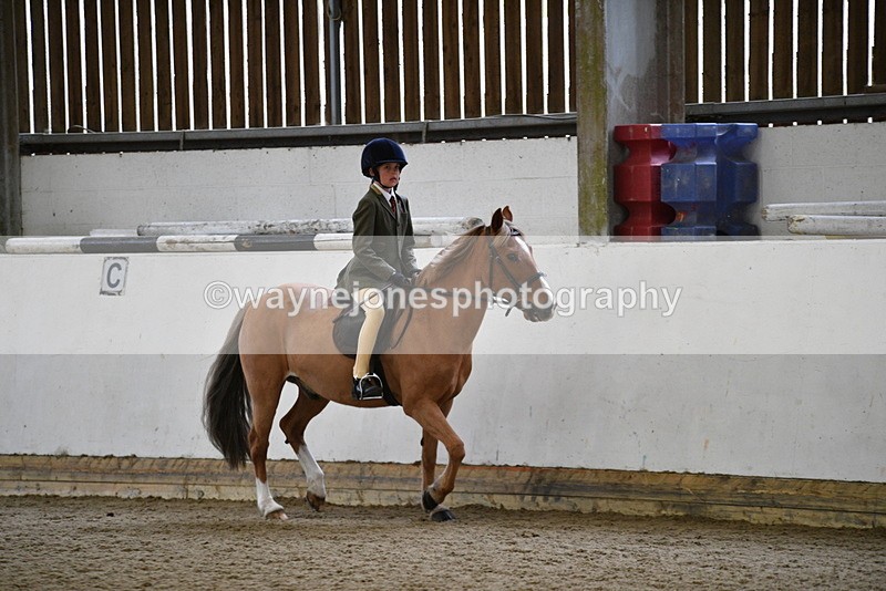 WJ5_6500 - Class 10 Childs Pony