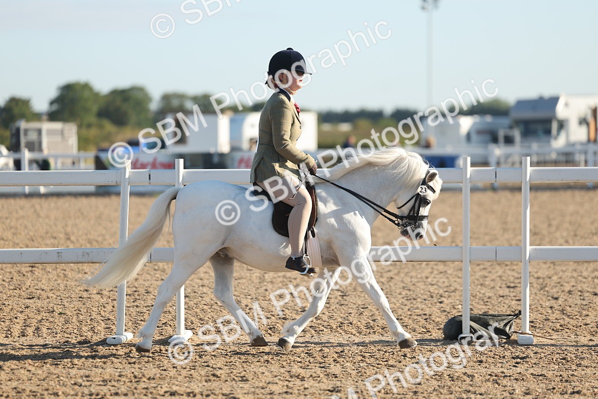 SBM_10896 - Class 301 - Ridden M&M Small Breeds