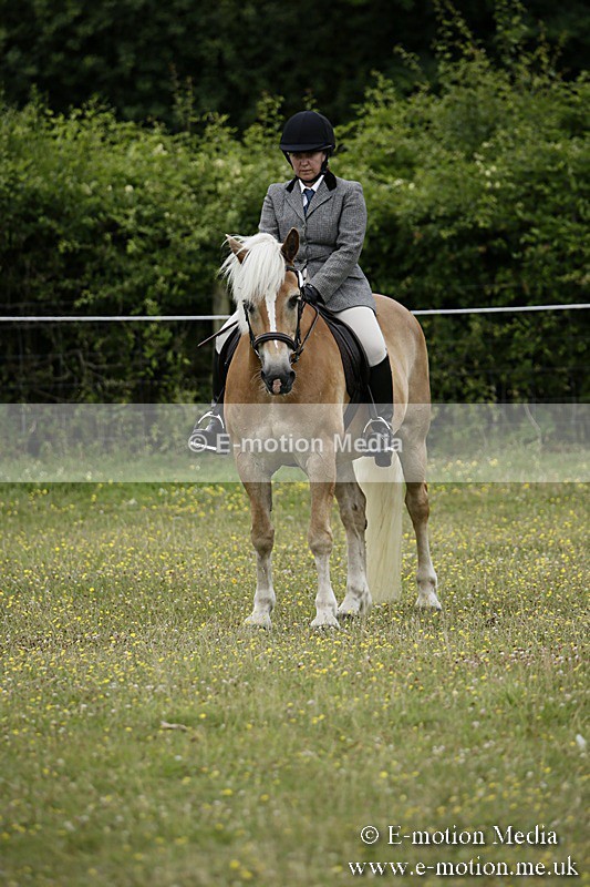 BVR160717-1369 - Ring 1 BVRC Show 16/07/17