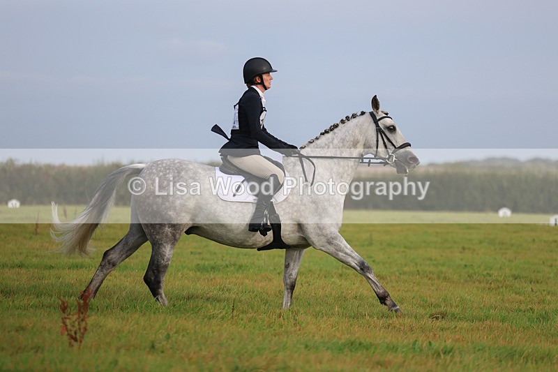 3E7A5032 - Class 1: Trebudannon Open: Dressage