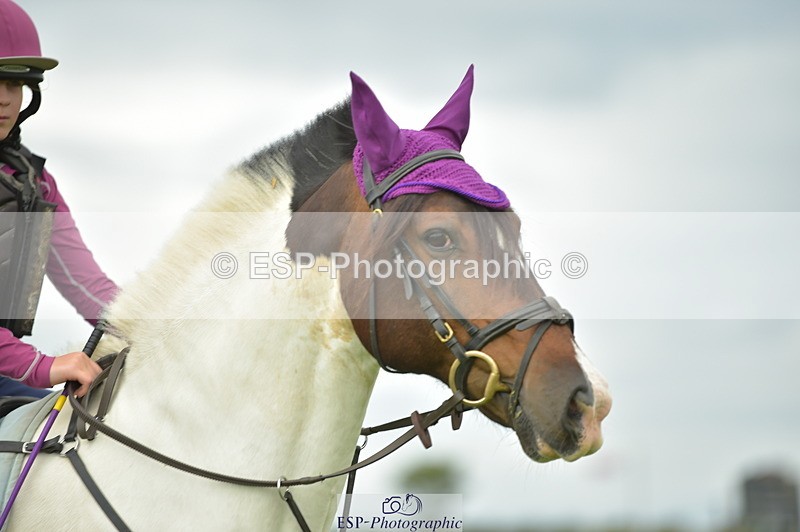 230803A-145526-01021 - Bernie's Group Ride