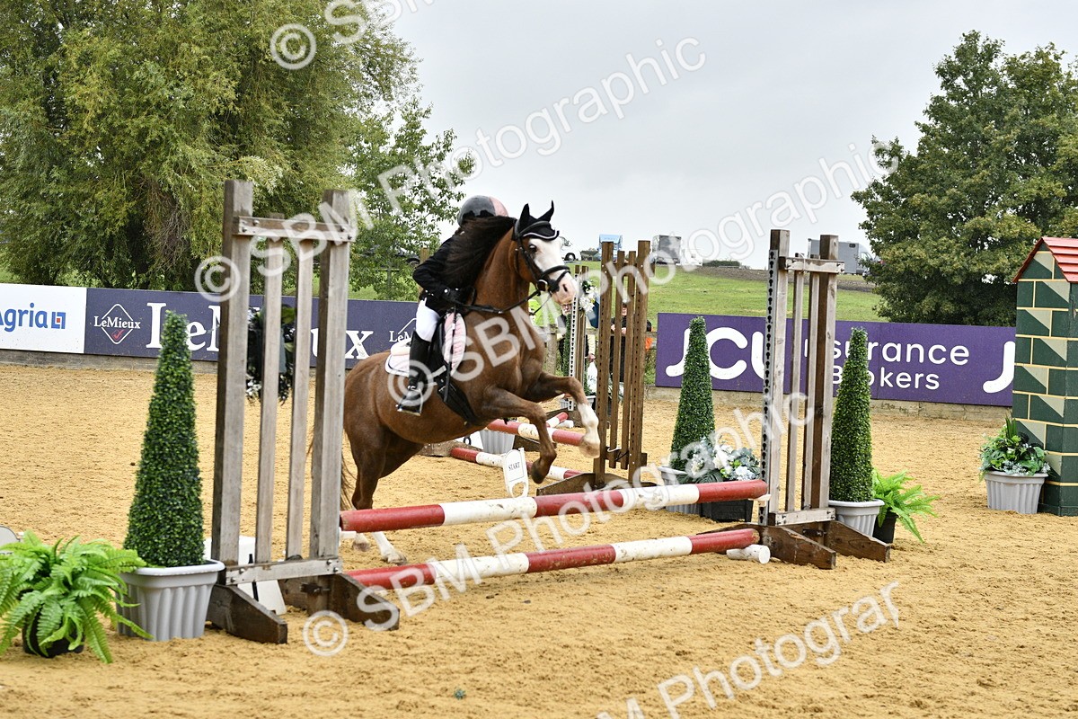 SBM_70804 - J3 - Mini Tour Junior Pony 40cm championship