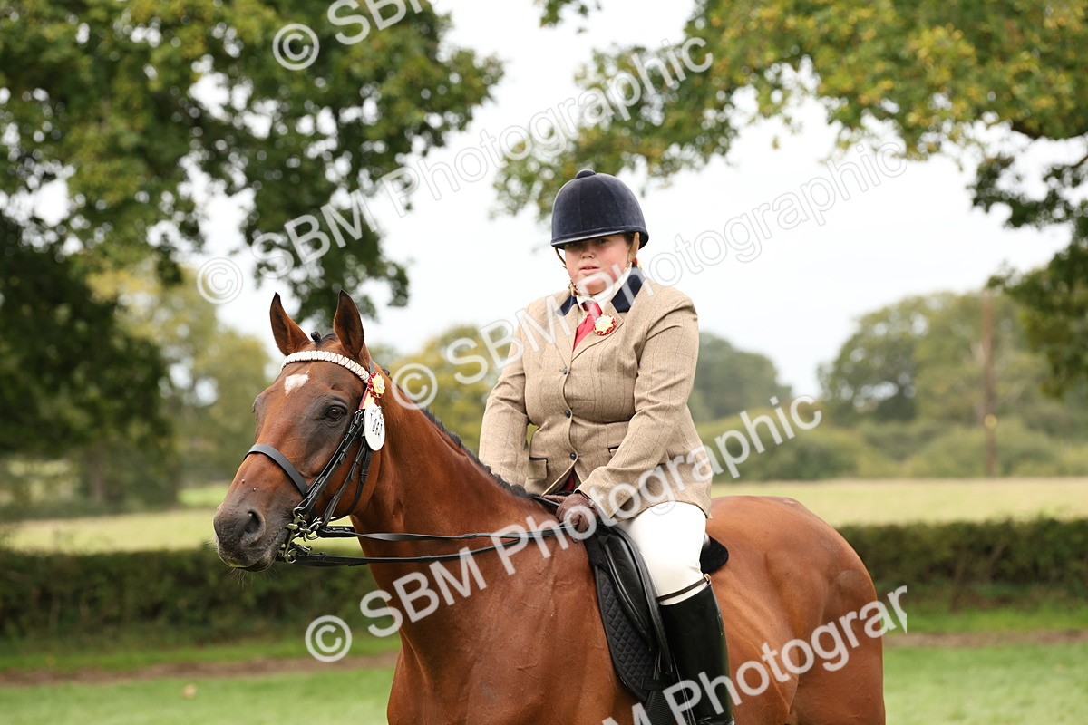 SBM_64304 - S65 - Riding Horse & Hack & Thoroughbred Ridden