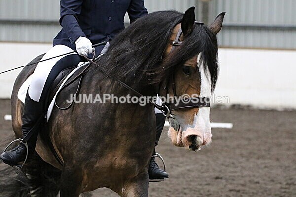 SIAL4176 - CAbin Dressage 5th july 2025