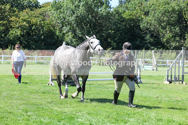 3E7A8467 - Class 4: Novice working Hunter