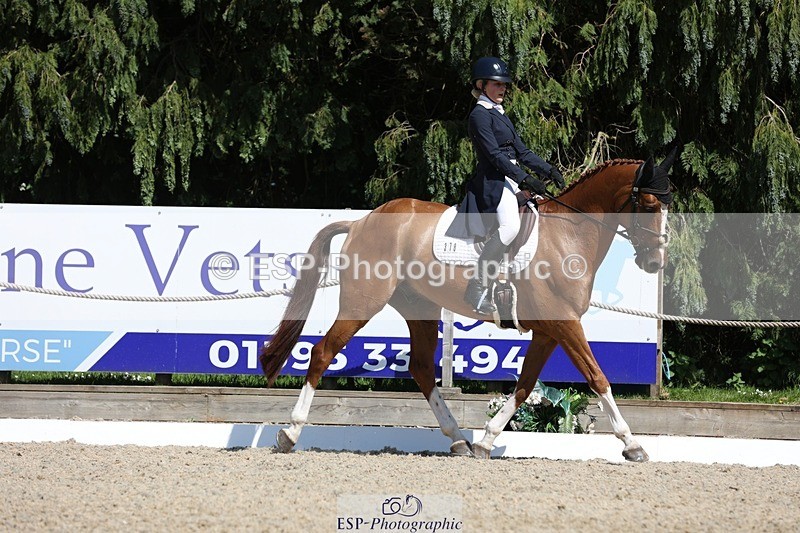 230526-150843-06640 - 378-CLASS_SPEC-Susie_Eddis-WEDTrotUp+DR