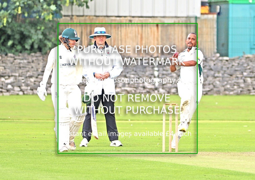 IMG_0828 - Umpire