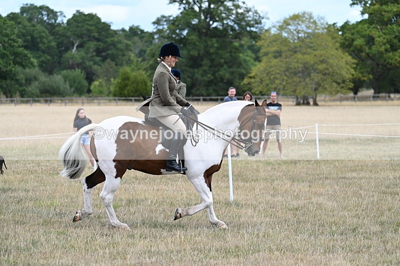 WJ7_4868 - Class 12 Ridden Cob