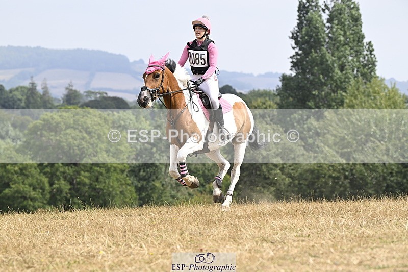 250824A-130611-36776 - 2010-Freya.Hallam-Deakin-Tommy