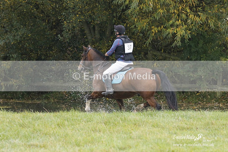 WWHT 171021 0684 - Novice Restricted (0.80m)  17/10/21