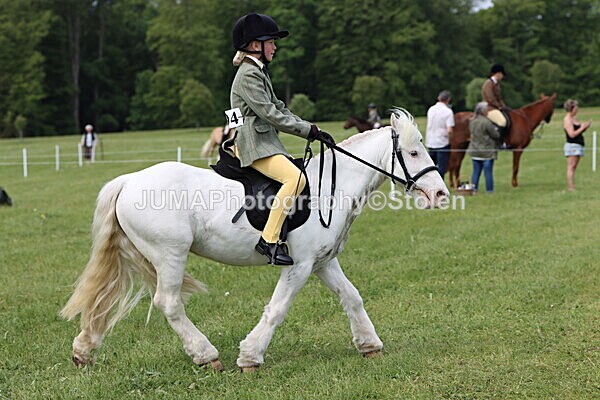 IMG_2654 - Working Hunter